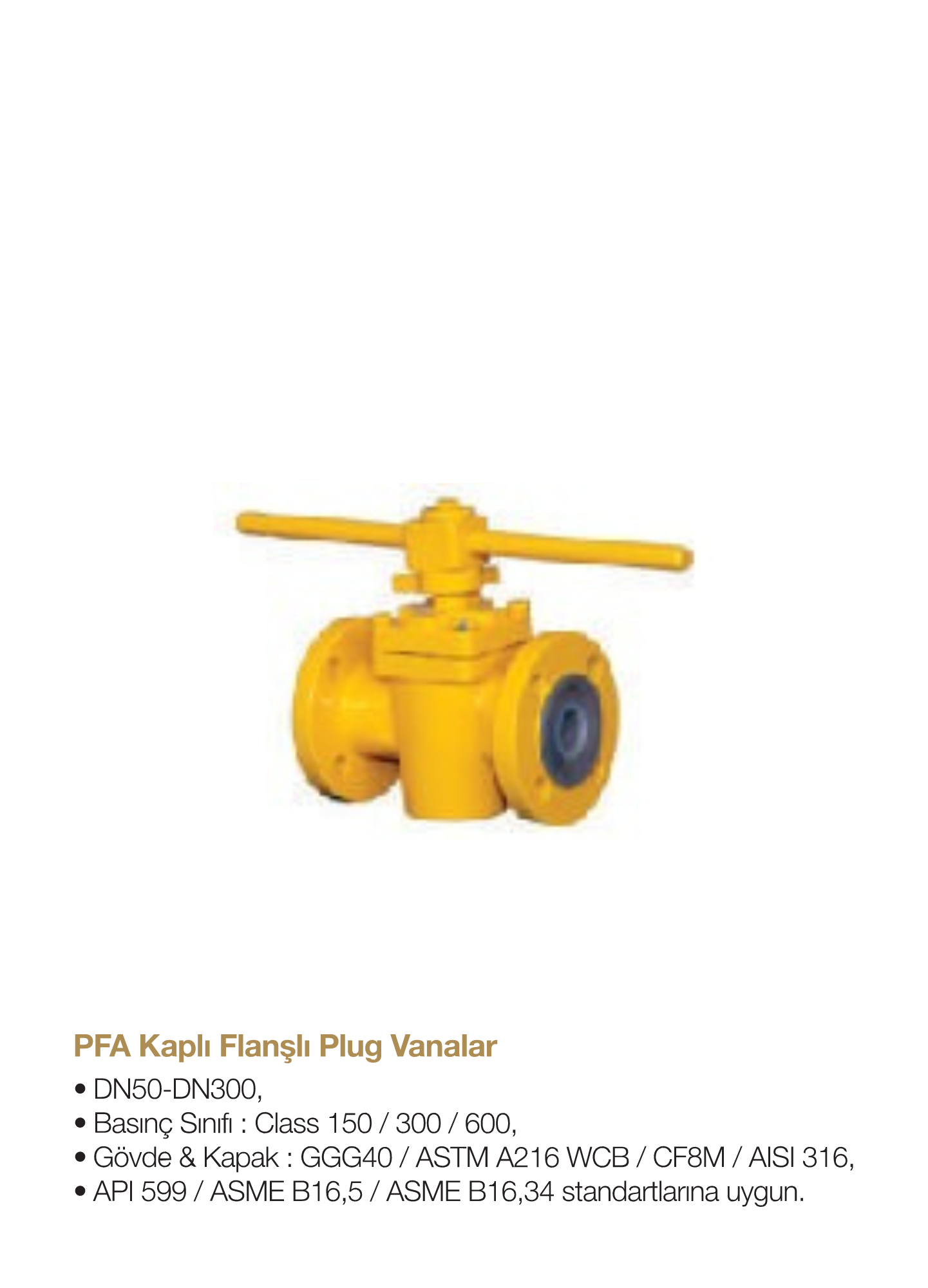 PFA Kaplı Flanşlı Plug Vanalar